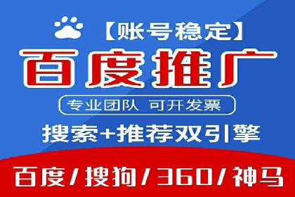 行业领先企业的SEM广告投放策略案例